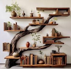 the bookshelves are filled with plants and vases
