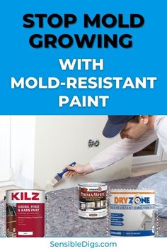 a man is painting the wall with blue paint and some other items to help him