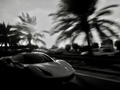 a white sports car driving down a street next to palm trees