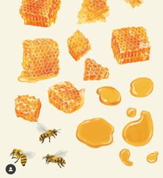honey and honeycombs on a white background