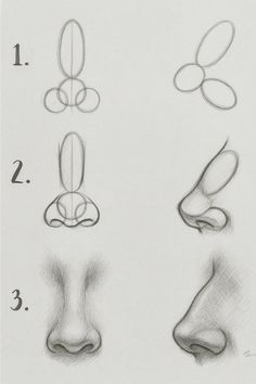 a drawing of different shapes and sizes of the nose