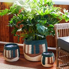 two woven baskets with plants in them sitting on a wooden floor next to a wicker chair