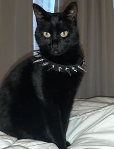 a black cat sitting on top of a bed wearing a collar with spikes around it's neck