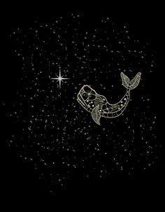 A sky full of stars and some mystery