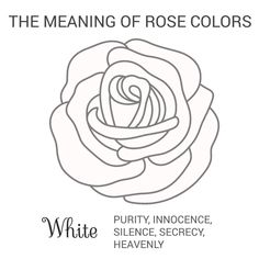 the meaning of rose colors in white