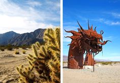 two pictures side by side, one with a dragon sculpture and the other with a cactus plant