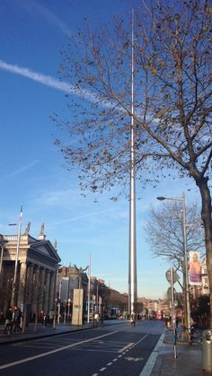 a tall tree sitting on the side of a road next to a street light pole