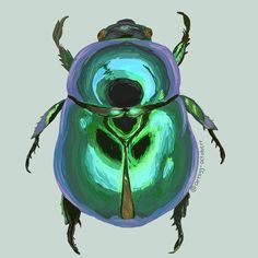a green beetle with long legs and large eyes