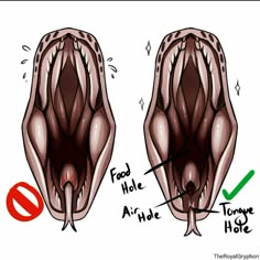 an image of the inside of a human's body and how it looks like