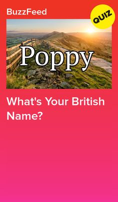 the cover of poppy's book, what's your british name? by buzzfeed