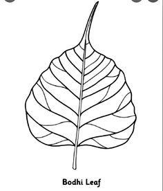 a leaf with the word bodh leaf on it