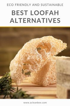 the cover of eco friendly and sustainable best loofah alternatives, with text overlay