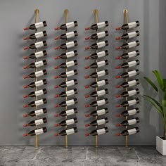 a wall mounted wine rack filled with lots of bottles next to a potted plant