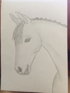 a pencil drawing of a horse's head