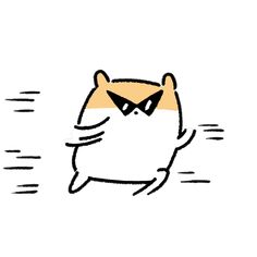 an image of a cat that is running