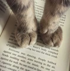 a cat's paw resting on top of an open book