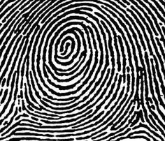 a black and white image of a fingerprint with an oval design on the inside