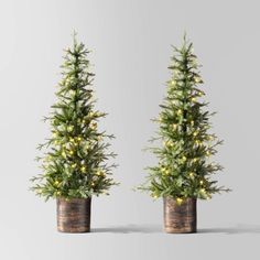 two potted christmas trees with lights on them