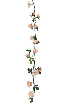 pink flowers are growing on the stem with green leaves and stems in front of white background