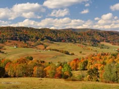 the rolling hills are full of colorful trees