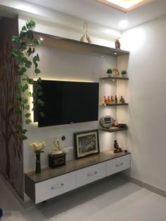 an entertainment center with shelves and plants on the wall, along with a flat screen tv