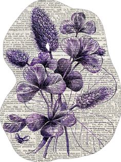 purple flowers on an old book page