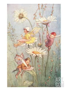 three little fairy tinkerbells sitting on daisies in the middle of flowers