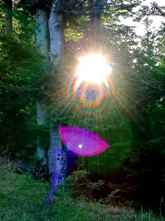 the sun shines brightly in front of trees and grass, with an upside down purple object
