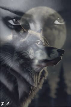an image of a wolf with the moon in the background