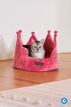 a cat sitting in a pink princess bed on top of a wooden floor next to a white wall