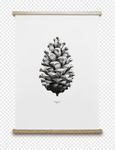 a black and white drawing of a pine cone on a piece of paper, with no background