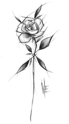 a black and white drawing of a rose