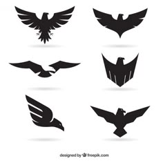 the silhouettes of birds in different poses on a white background royalty free stock illustrations