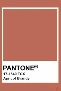 pantone's terra cota color is shown with the text pantone on it