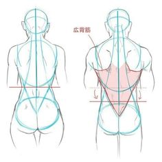 the back view of a woman's body and how to draw it