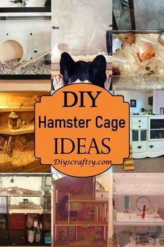 a collage of photos with the words diy hamster cage ideas