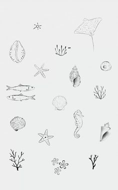 an image of sea animals drawn in black and white