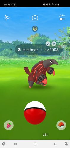 an animal is playing with a ball on the field