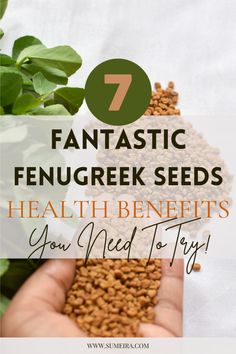 Fenugreek seeds scattered on a table, with some held in a hand alongside fresh fenugreek leaves, highlighting both the seeds and leaves in their natural form.