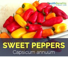red, yellow and green peppers on a cutting board with the words sweet peppers capsicum anum