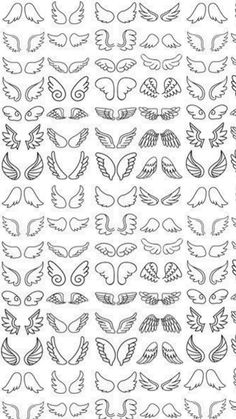 a large set of hand drawn wings in different shapes and sizes, all on white background