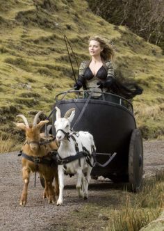 a woman riding in a cart with two goats on the side and another goat standing next to her