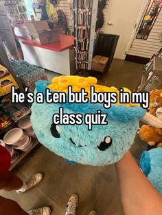 someone holding up a stuffed animal that says he's a ten but boys in my class quiz