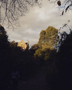 two people are walking down a path in the woods near some buildings and trees with no leaves on them