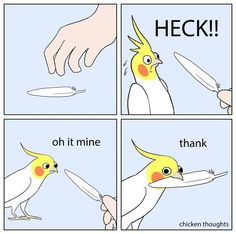 a comic strip with a bird holding a knife in it's beak and the caption, heck oh it mine thank chicken thought