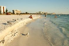 the beach is crowded with people and seagulls