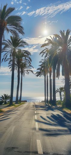 the sun shines brightly through palm trees on an empty road by the ocean in california