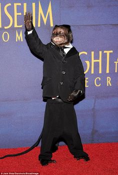 a monkey dressed up in a suit and tie waves to the crowd at an event