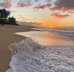 the beach is covered in snow as the sun sets over the water and trees on the shore