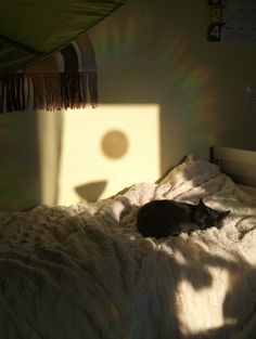 a black cat laying on top of a bed in a room with sunlight coming through the window